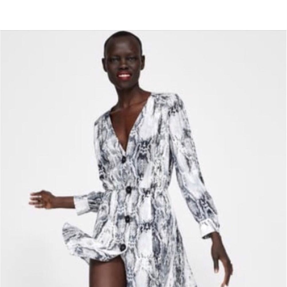 Zara Snake Skin Print Button Down Dress. - Picture 2 of 11